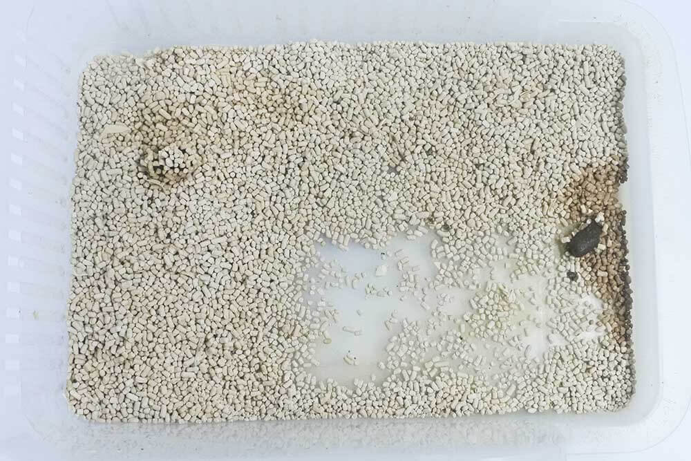 ハムスターの消臭トイレ砂「固まらない砂」使用後の様子