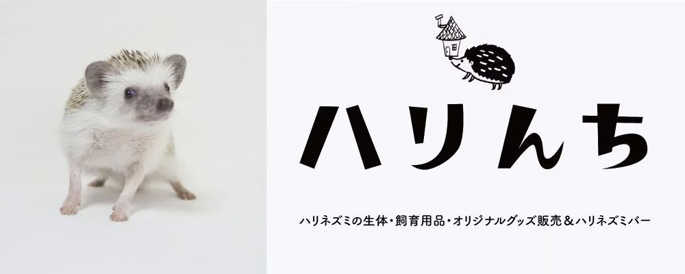 ハリんちSHOP STORES店