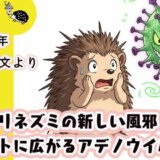 ハリネズミの新しい風邪？ ペットに広がる謎のウイルス（2025年最新論文より）