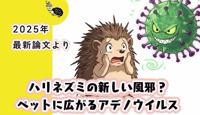 ハリネズミの新しい風邪？ ペットに広がる謎のウイルス（2025年最新論文より）